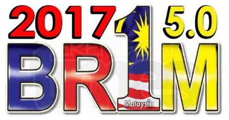 BR1M-2017-500x246
